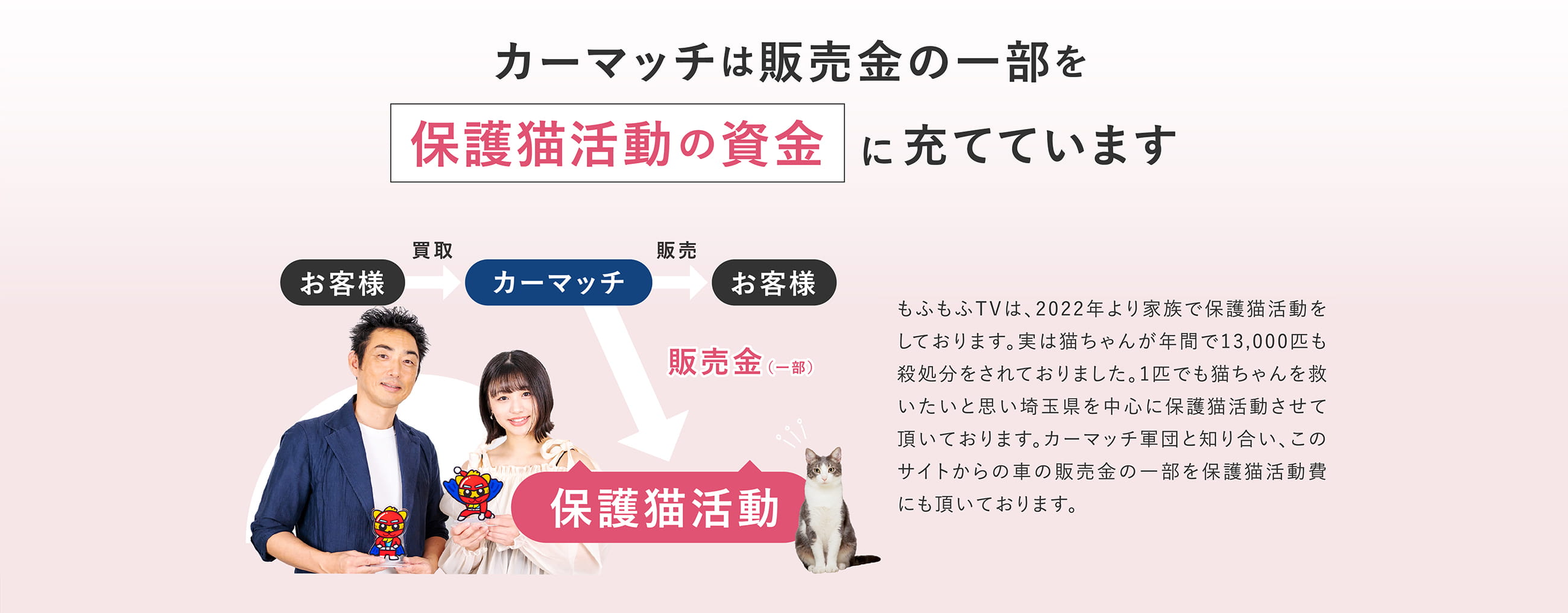 カーマッチは販売金の一部を保護猫活動の資金に充てています